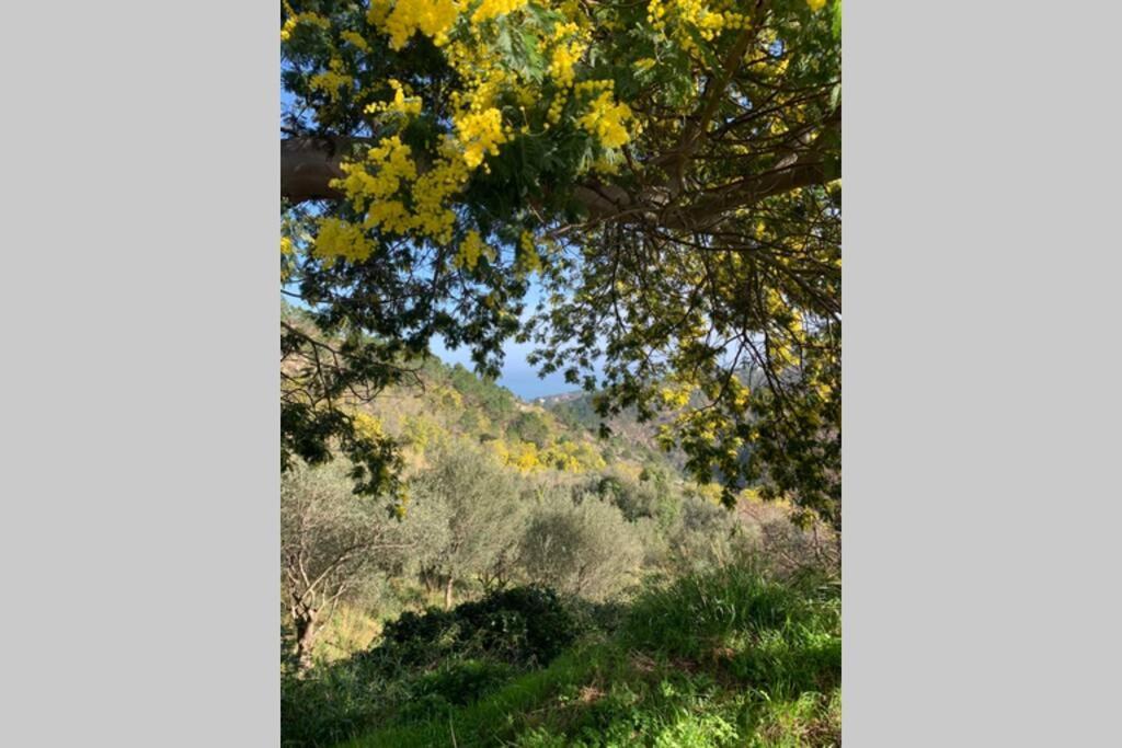 Vila La Casa Di Sandra A Noli Exteriér fotografie