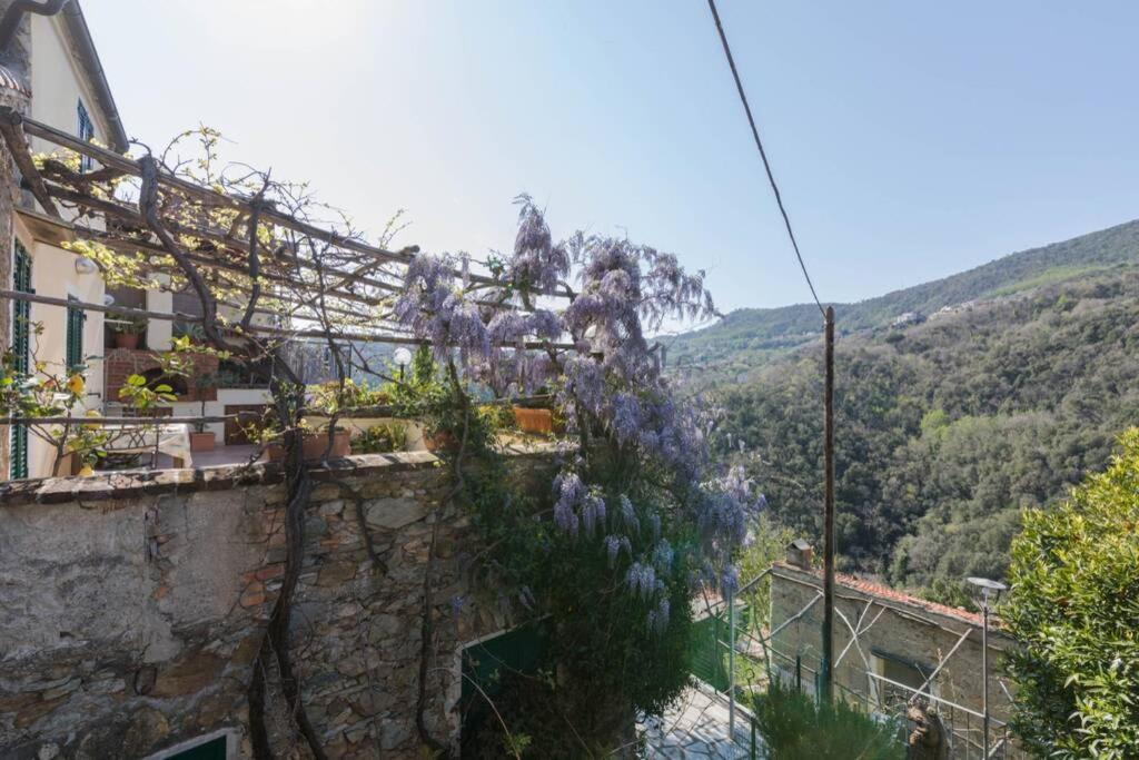 Vila La Casa Di Sandra A Noli Exteriér fotografie