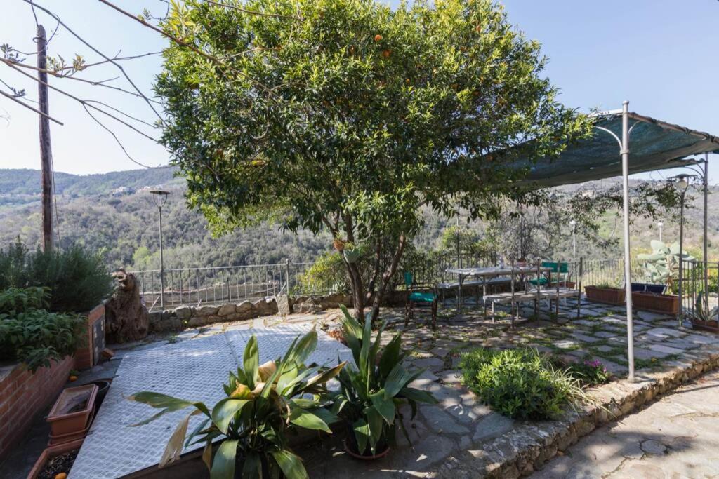 Vila La Casa Di Sandra A Noli Exteriér fotografie